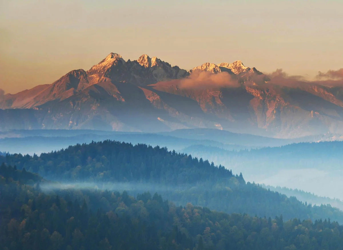 Bazy Danych o produktach i opakowaniach oraz o gospodarce Odpadami w Estonii - kotkas: Klucz do zrównoważonego rozwoju i ochrony środowiska