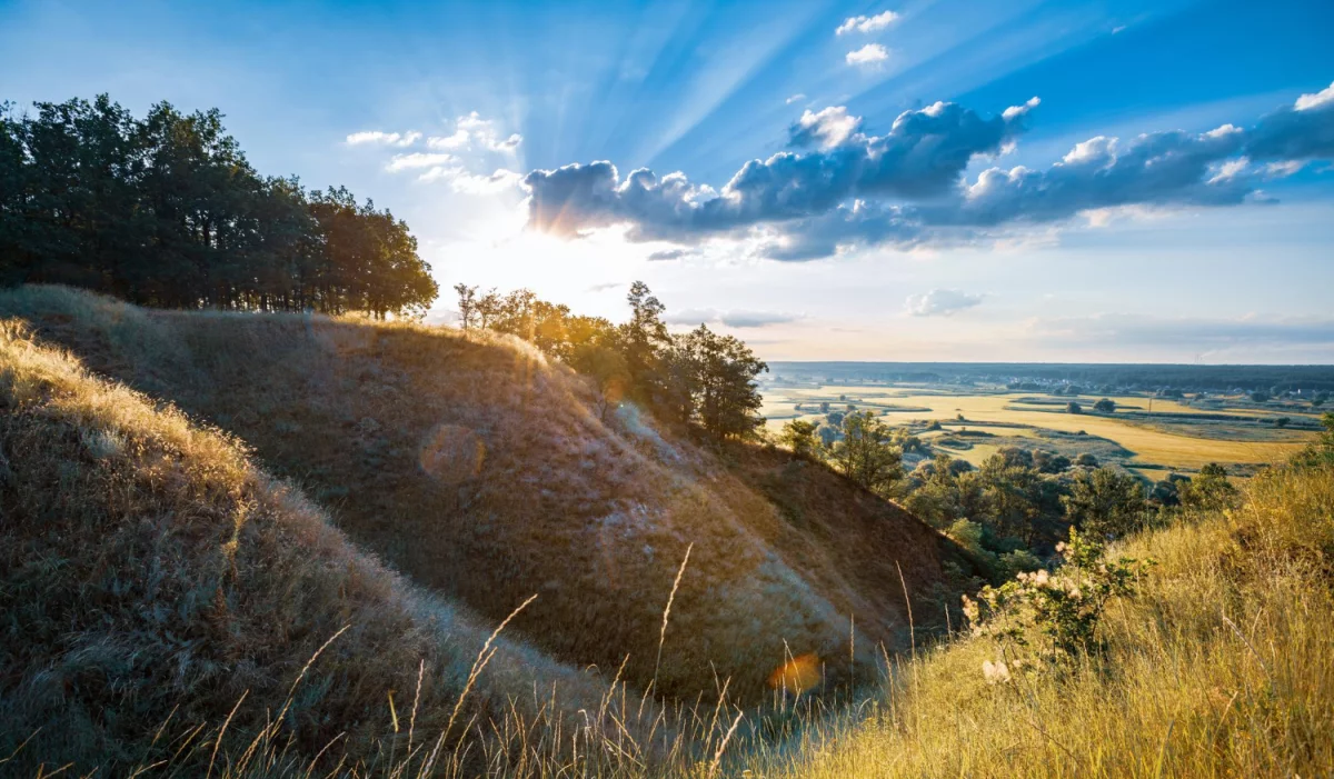 BDO Austria: Ekspert w obszarze audytu i doradztwa finansowego w sercu Europy