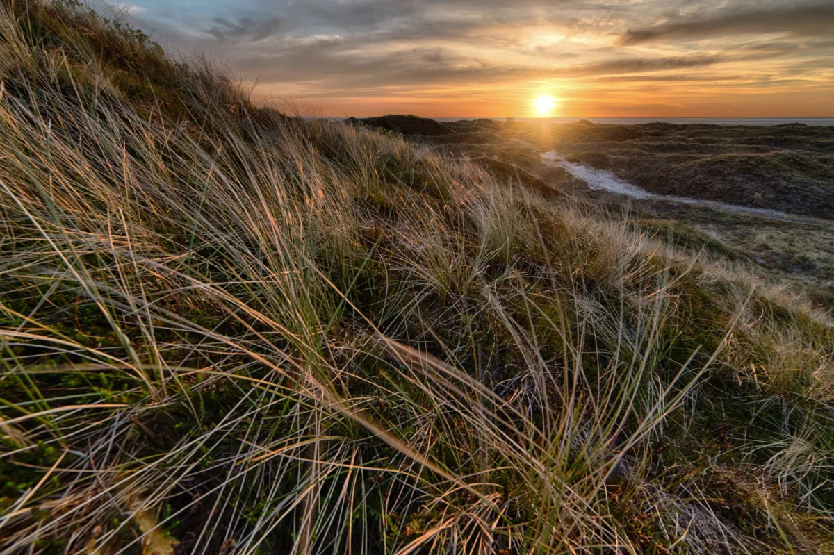 BDO dla producenta komputerów: Kluczowe informacje i wyzwania w zarządzaniu danymi