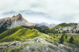 Odkryj świat wiedzy z innowacyjnym Portal edukacyjnym - Twoje narzędzie do rozwijania umiejętności i zdobywania nowej wiedzy!